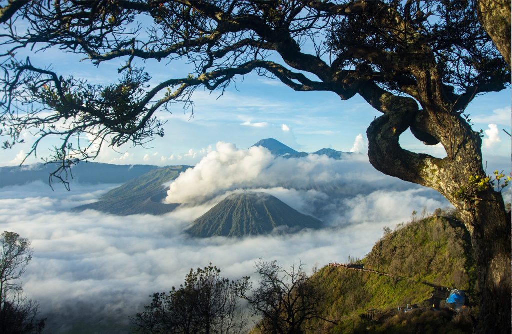 Mount Bromo