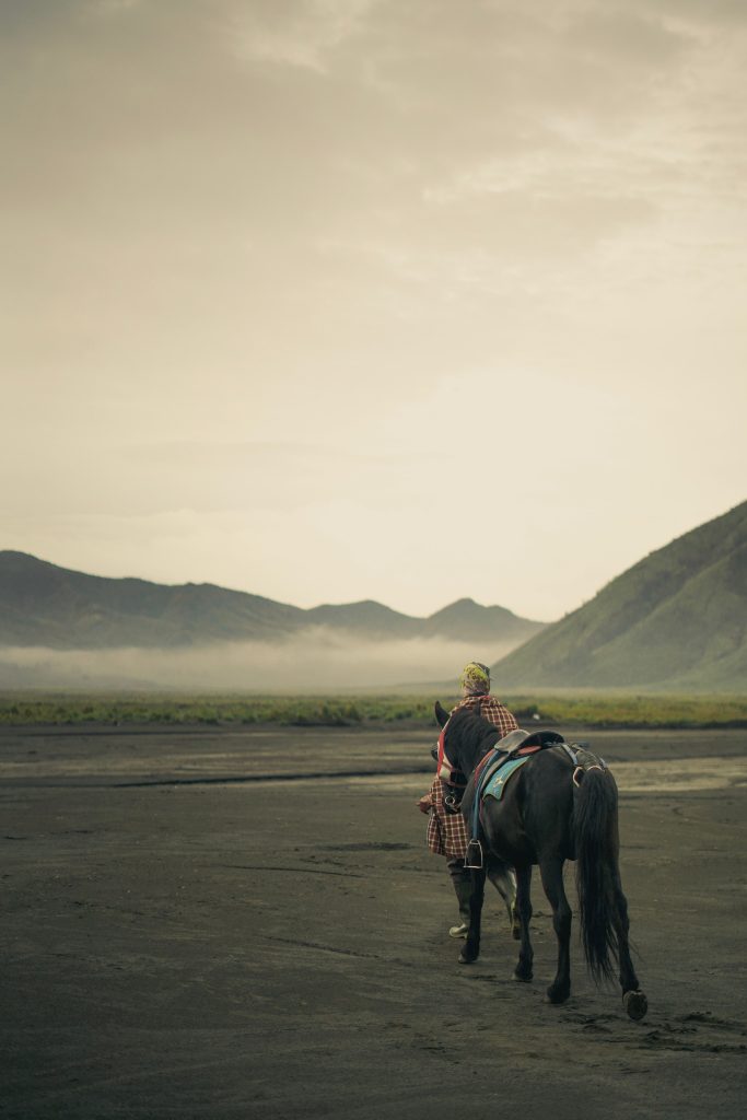 Bromo Horse